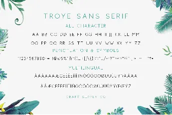 Troye Sans font