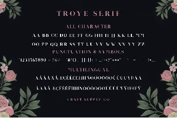 Troye Sans font