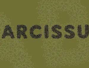 Narcissus font