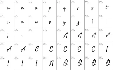 Handwriting Script Typeface font