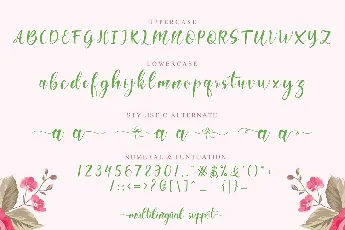 Hello Melda Modern Calligraphy font