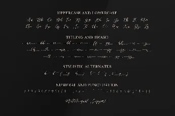 Pelana font