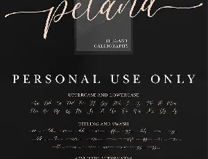 Pelana font