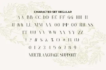 Paradise Thin Demo font