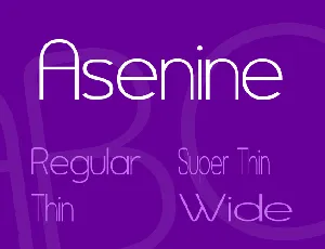 Asenine font