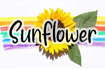 Sunflower Display Typeface font