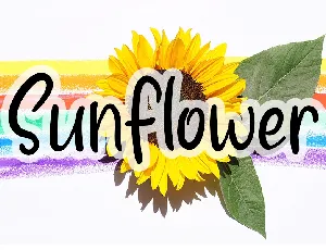 Sunflower Display Typeface font