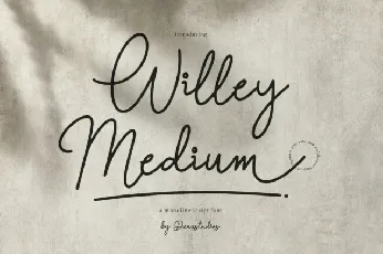 Willey Medium font