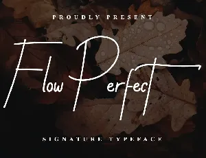 Flow Perfect Demo font