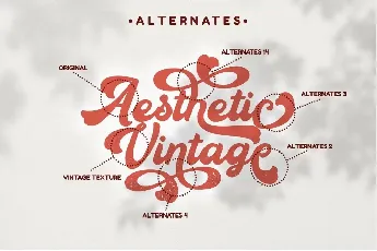 Aesthetic Vintage font