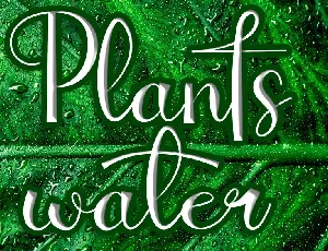 Plants Water font