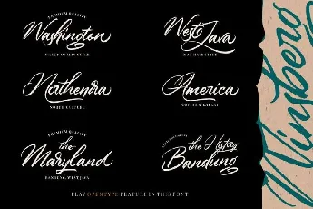 Winsberg Script font