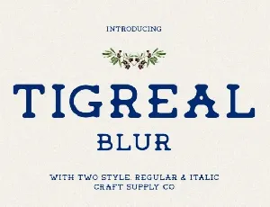 Tigreal Blur font