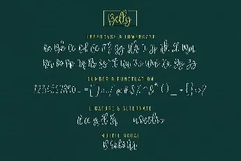 Belly Beauty Handwritten font