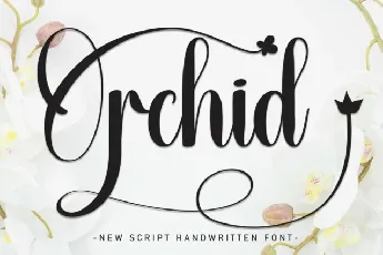 Orchid Script font