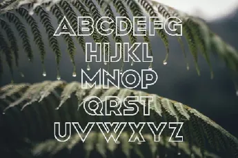 Avalon font