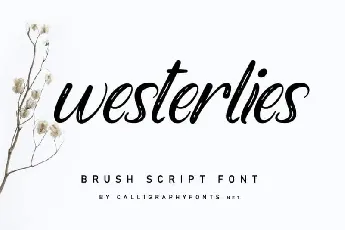 Westerlies Calligraphy Script font