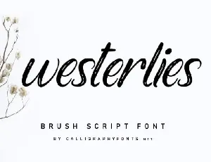 Westerlies Calligraphy Script font