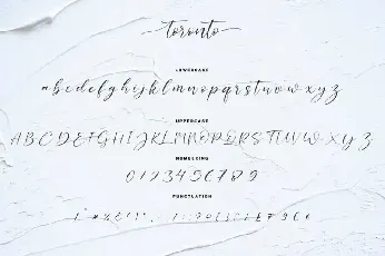 Toronto Handwritten font