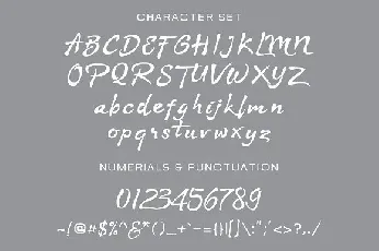 Stya Script font