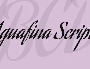 Aguafina Script font