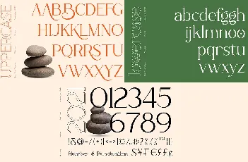 Rottering font