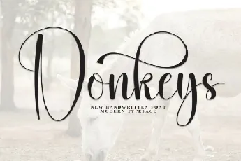 Donkeys Script font