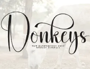 Donkeys Script font