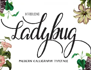 Ladybug Free font