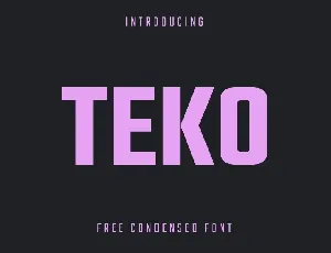 Teko Family font