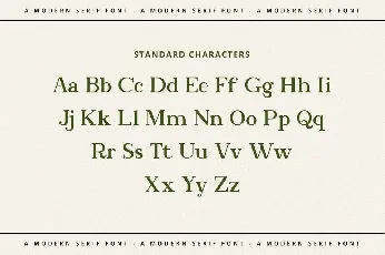 Bookinnes font