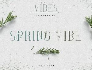 SpringVibe font