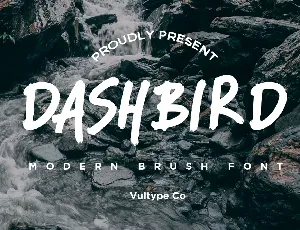 DASHBIRD font