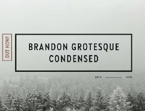Brandon Grotesque Condensed Family font