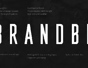 Brandbe Demo font