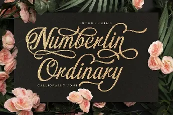 Numberlin Ordinary font