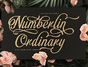 Numberlin Ordinary font