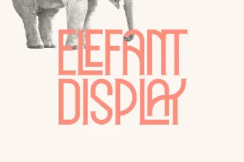 Elephant Display font