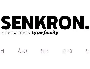 Senkron Sans Family font