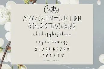 Cafetoria Demo font