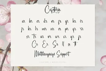 Cafetoria Demo font