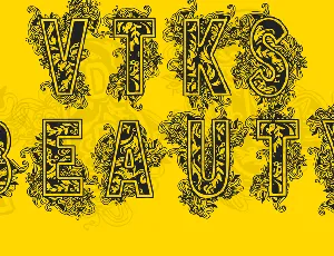 VTKS BEAUTY font