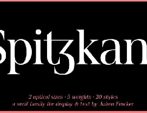 Spitzkant Serif font