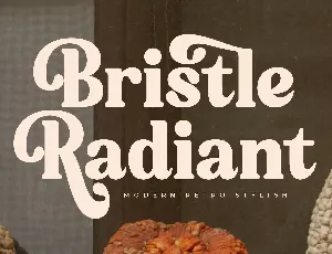 Bristle Radiant font