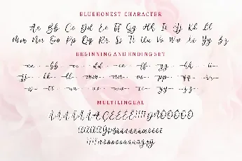 Bluehonest Demo Version font