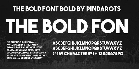 The Bold font