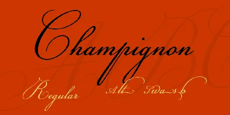 Champignon font