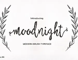 Moodnight Script font