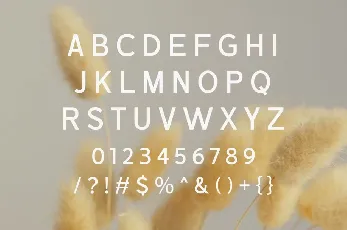 Marika font