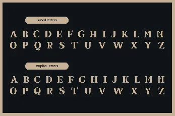 Equil Serif font